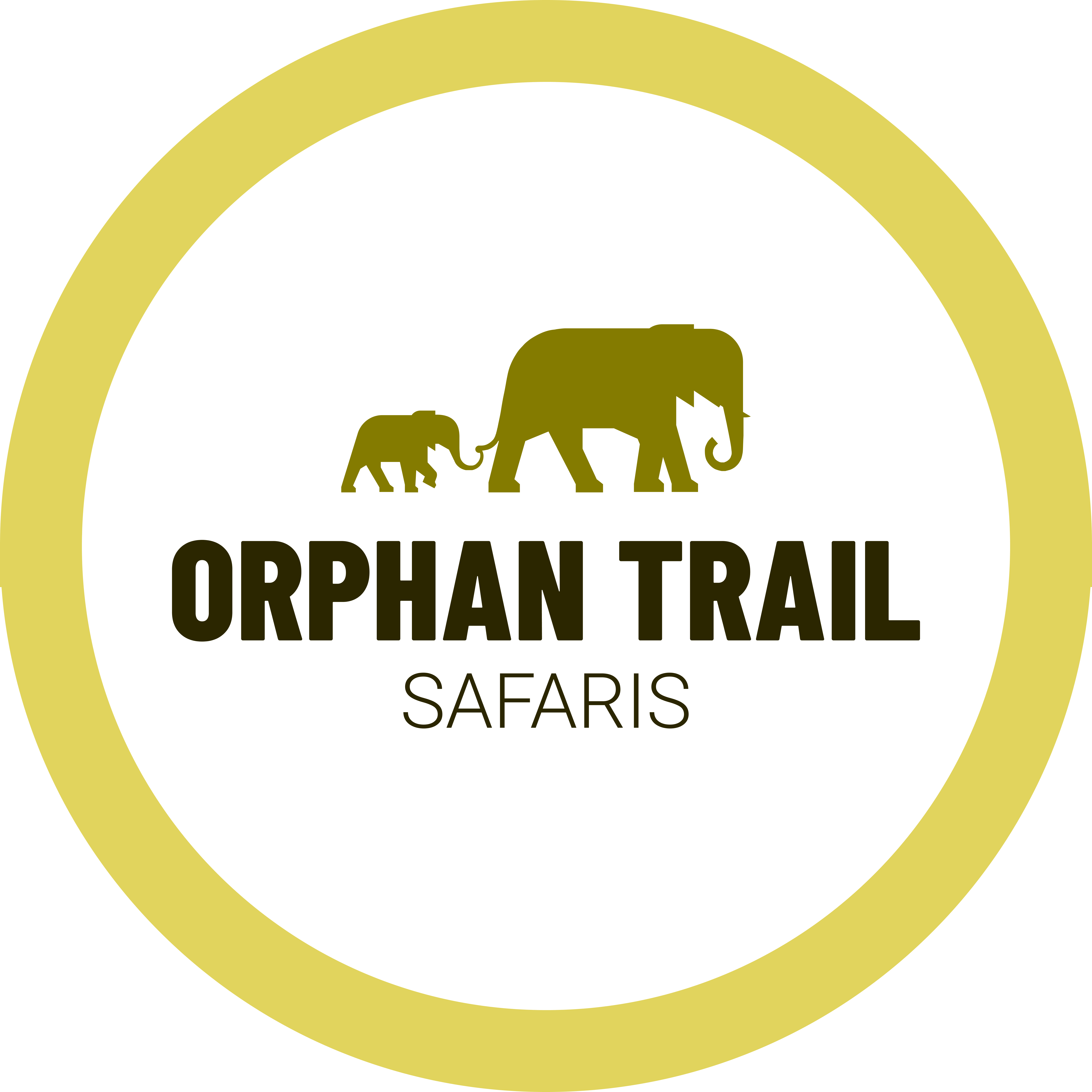 elephant safari tours