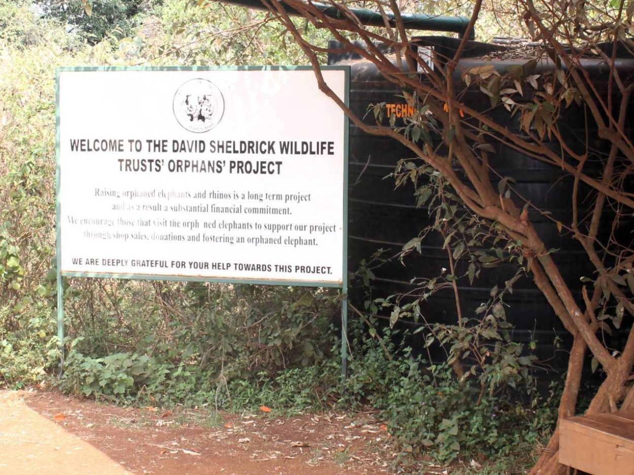 sheldrick elephant orphanage nairobi - welcome sign