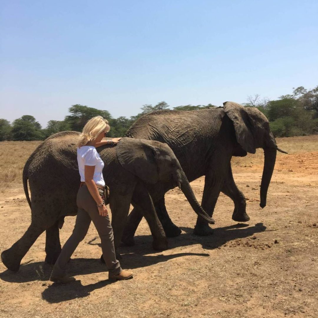 Beverly walking with 2 of the elephants at the elephant orphanage kenya